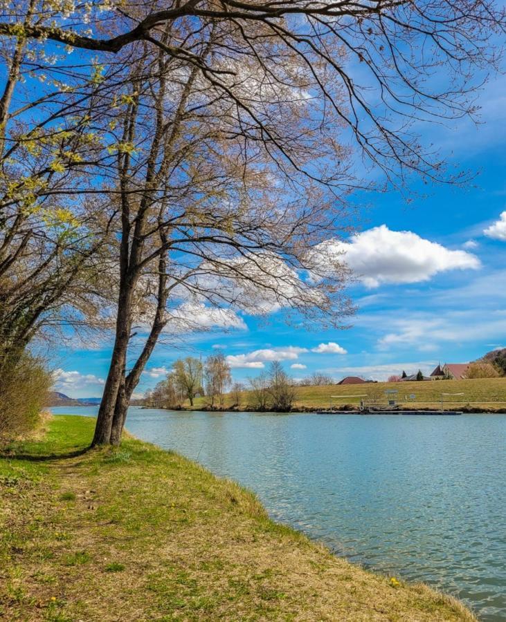 Apartment, 3375 Krummnussbaum An Der Donau Krumnussbaum Екстериор снимка